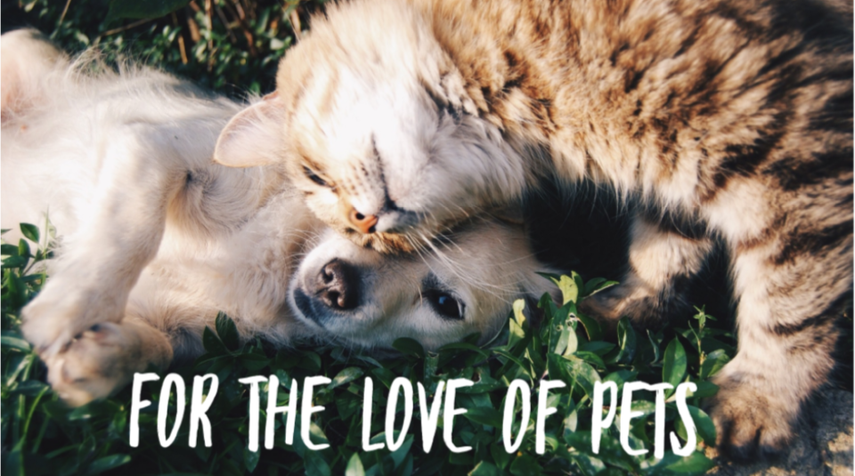 Love of Pets